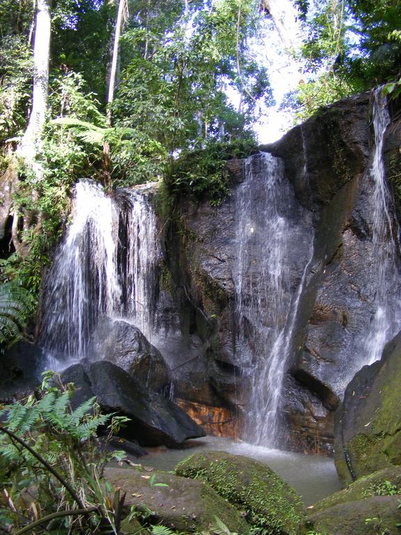 Lake Eacham Tourist Park & Cabins Bagian luar foto