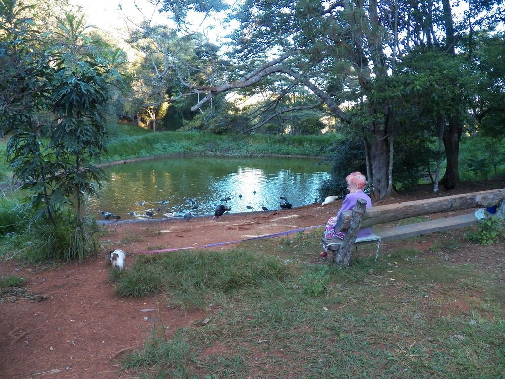 Lake Eacham Tourist Park & Cabins Bagian luar foto