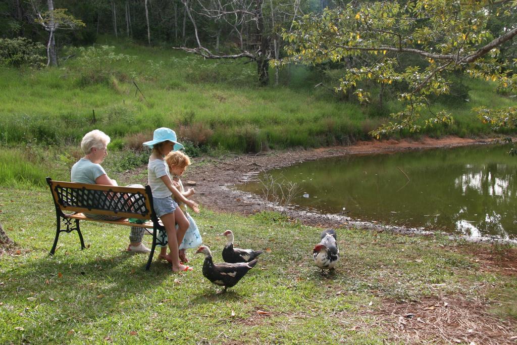 Lake Eacham Tourist Park & Cabins Bagian luar foto