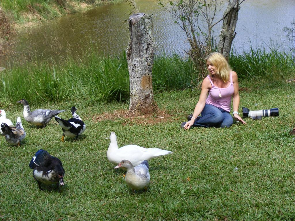 Lake Eacham Tourist Park & Cabins Bagian luar foto