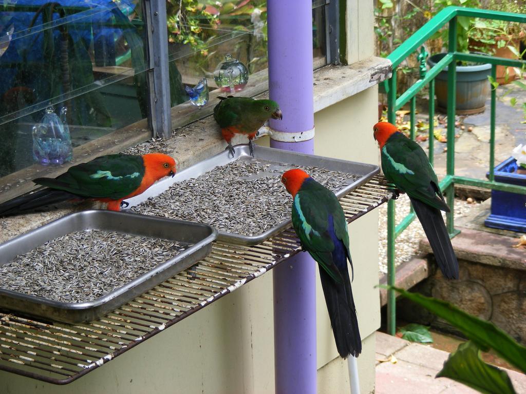 Lake Eacham Tourist Park & Cabins Bagian luar foto