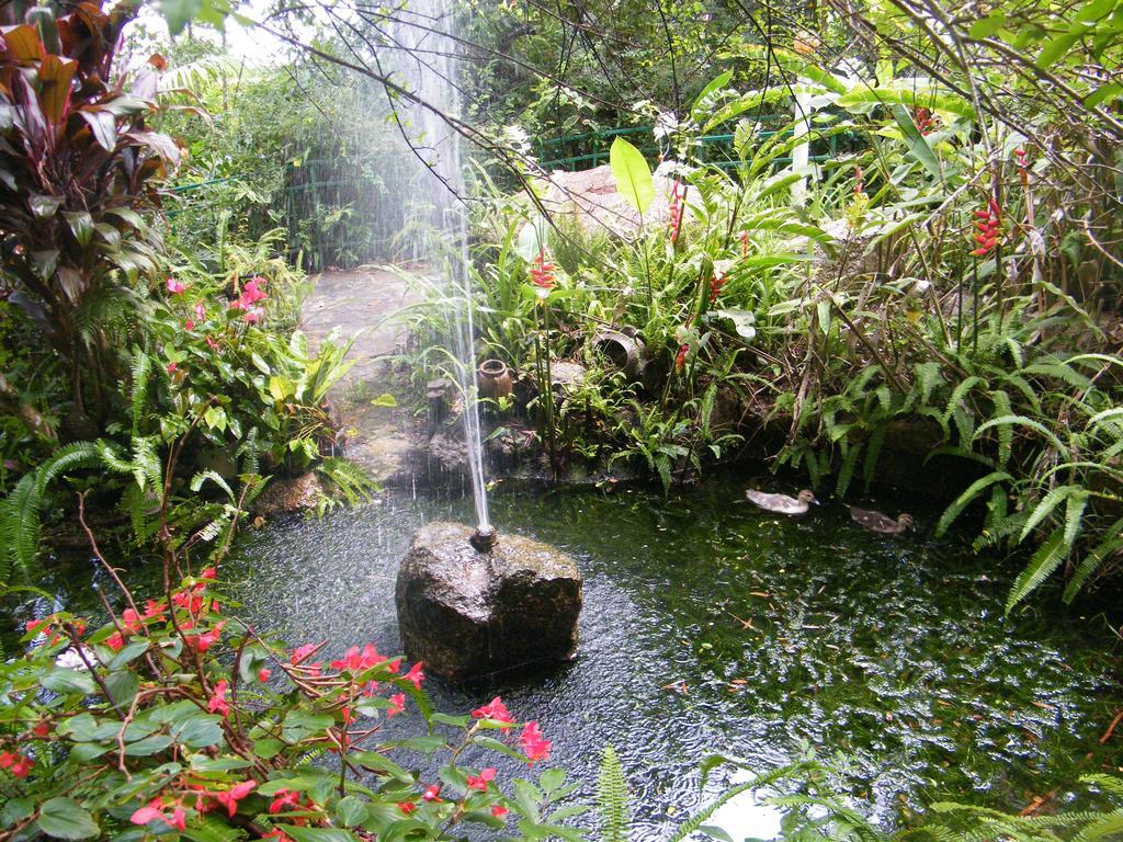 Lake Eacham Tourist Park & Cabins Bagian luar foto