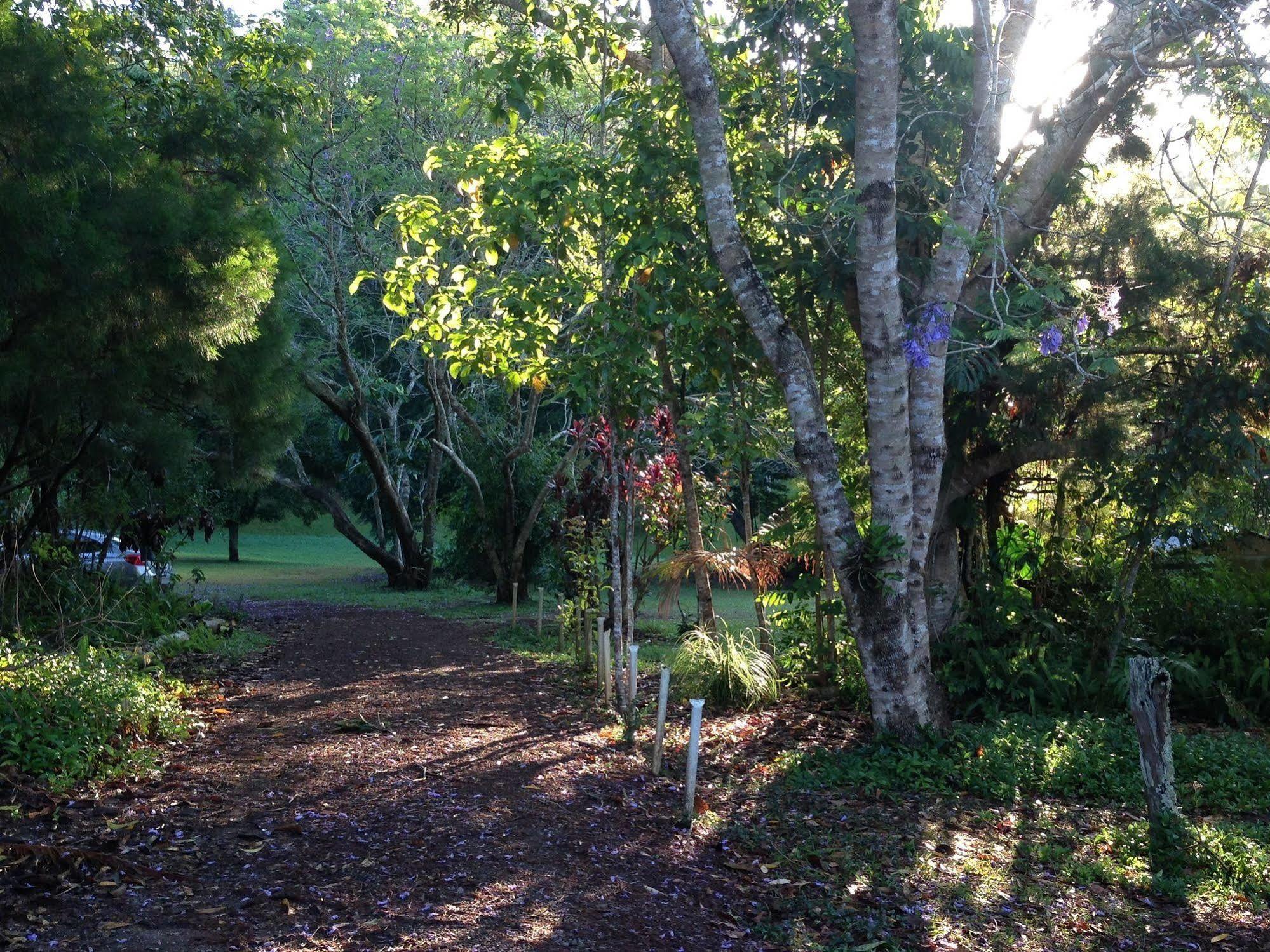 Lake Eacham Tourist Park & Cabins Bagian luar foto