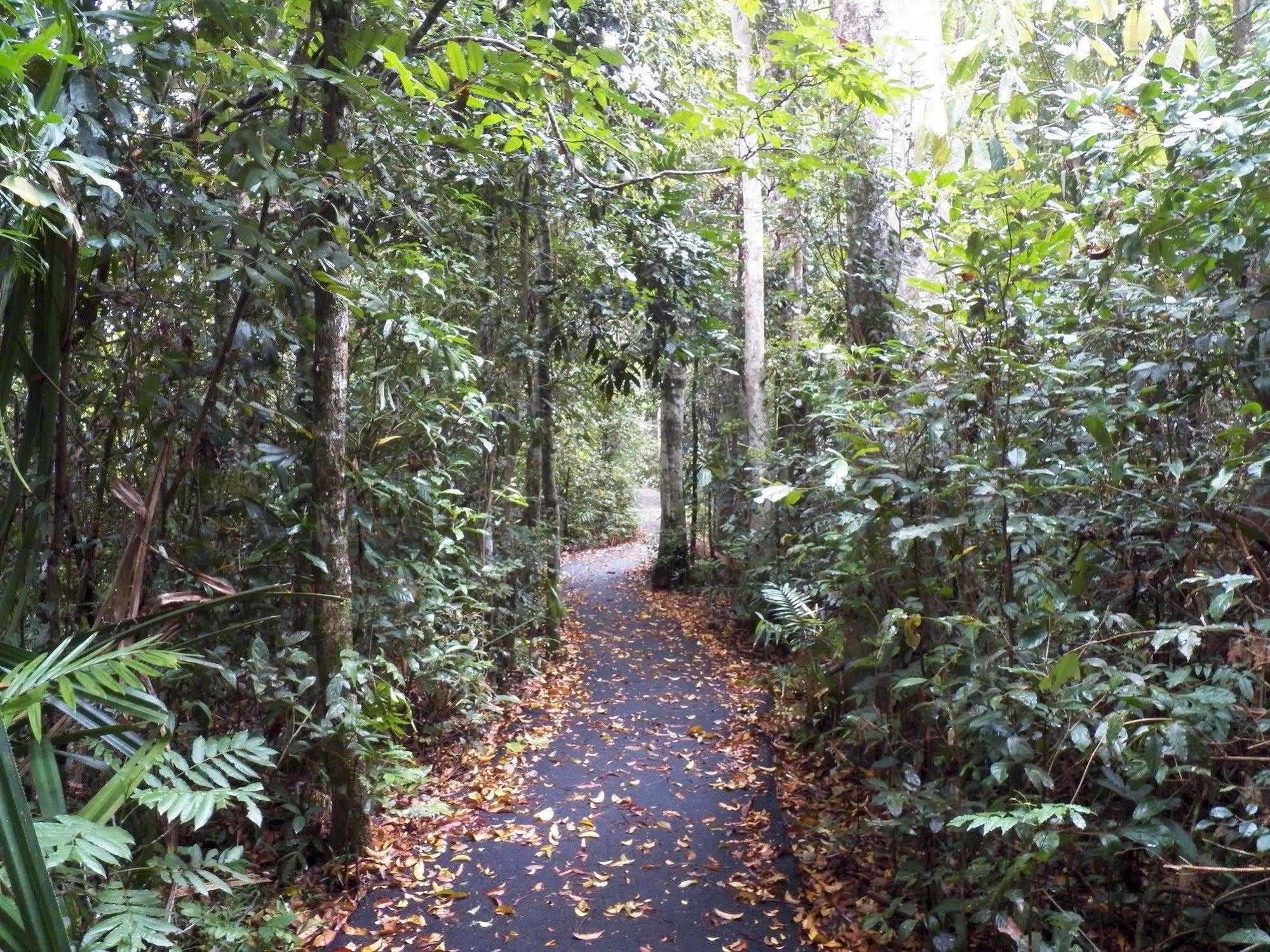 Lake Eacham Tourist Park & Cabins Bagian luar foto
