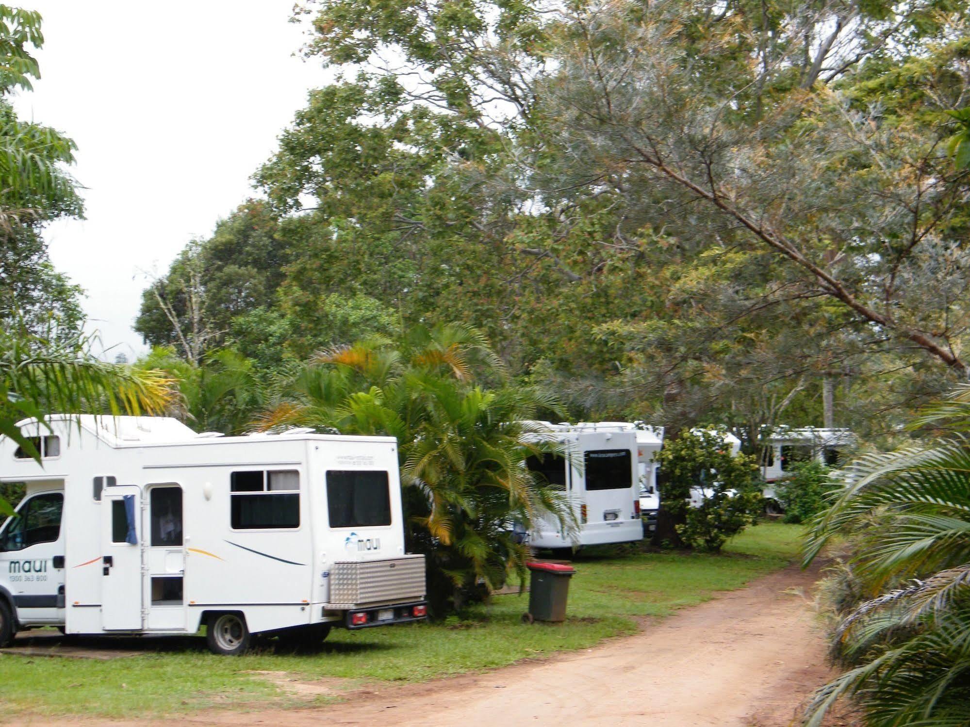 Lake Eacham Tourist Park & Cabins Bagian luar foto